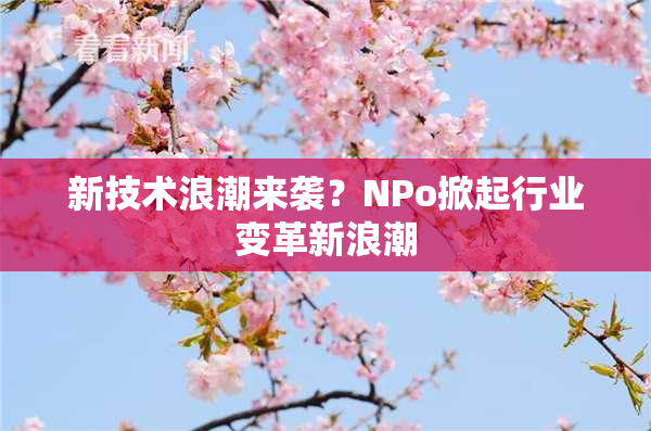 新技术浪潮来袭？ΝPo掀起行业变革新浪潮