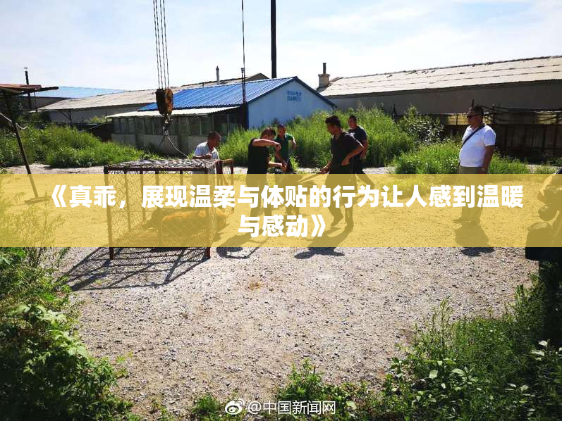 《真乖，展现温柔与体贴的行为让人感到温暖与感动》