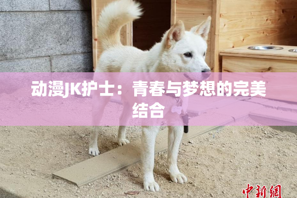 动漫JK护士：青春与梦想的完美结合