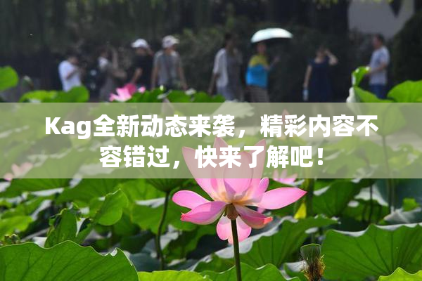 Kag全新动态来袭，精彩内容不容错过，快来了解吧！