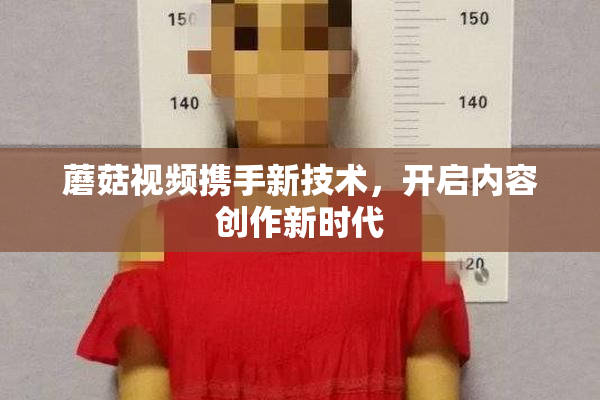 蘑菇视频携手新技术，开启内容创作新时代