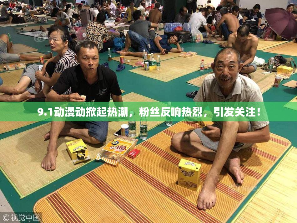 9.1动漫动掀起热潮，粉丝反响热烈，引发关注！