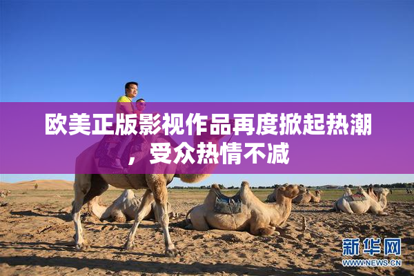 欧美正版影视作品再度掀起热潮，受众热情不减