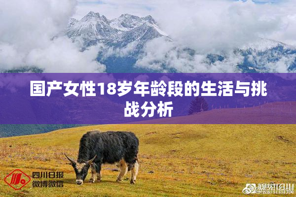 国产女性18岁年龄段的生活与挑战分析
