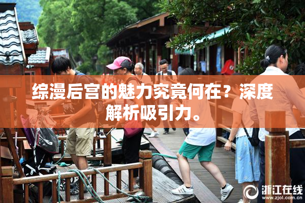 综漫后宫的魅力究竟何在？深度解析吸引力。