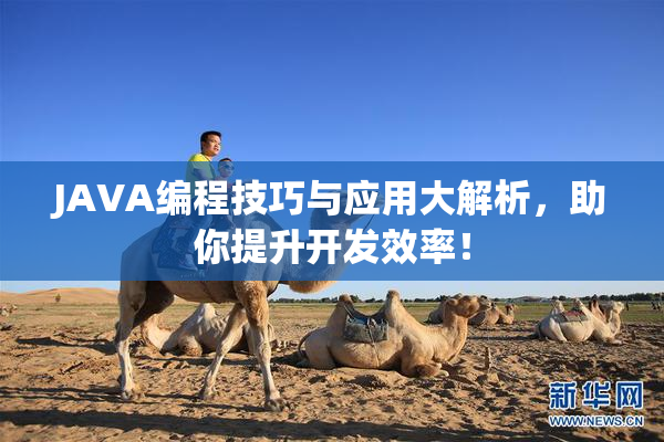 JAVA编程技巧与应用大解析，助你提升开发效率！