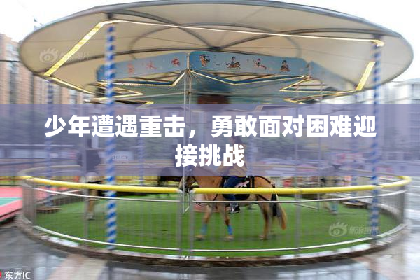 少年遭遇重击，勇敢面对困难迎接挑战