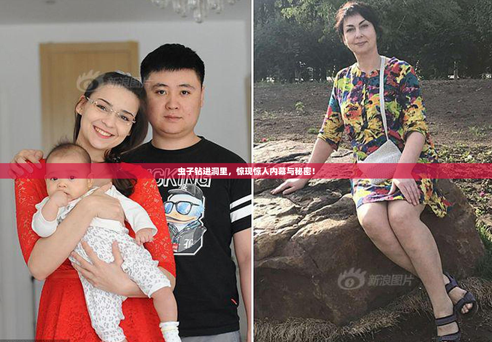 虫子钻进洞里，惊现惊人内幕与秘密！
