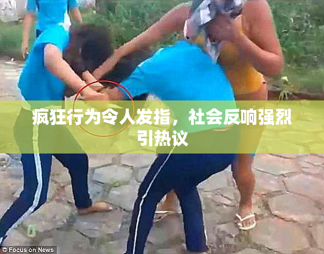 疯狂行为令人发指，社会反响强烈引热议
