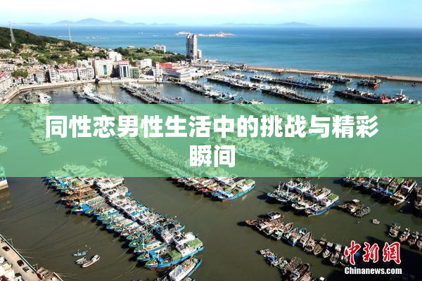 同性恋男性生活中的挑战与精彩瞬间