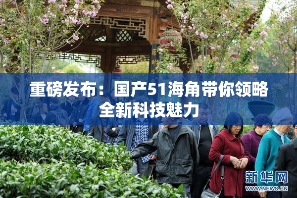 重磅发布：国产51海角带你领略全新科技魅力