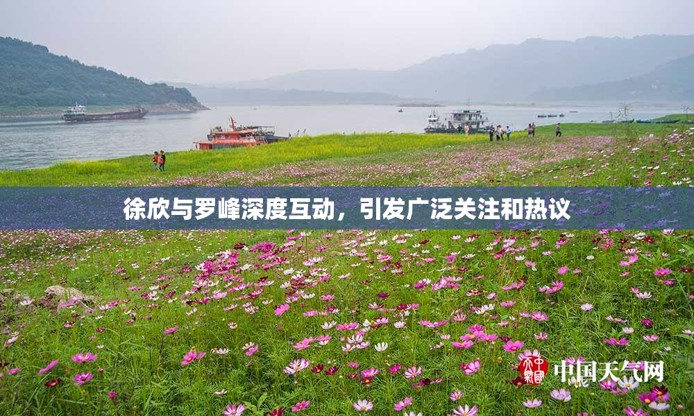 徐欣与罗峰深度互动，引发广泛关注和热议