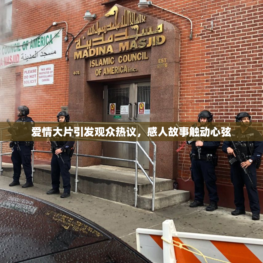 爱情大片引发观众热议，感人故事触动心弦