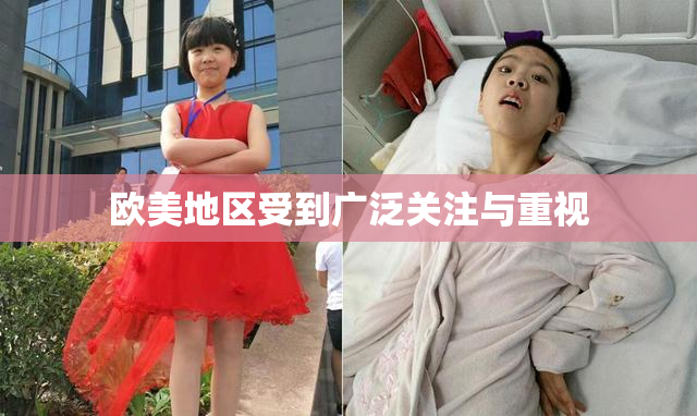 欧美地区受到广泛关注与重视
