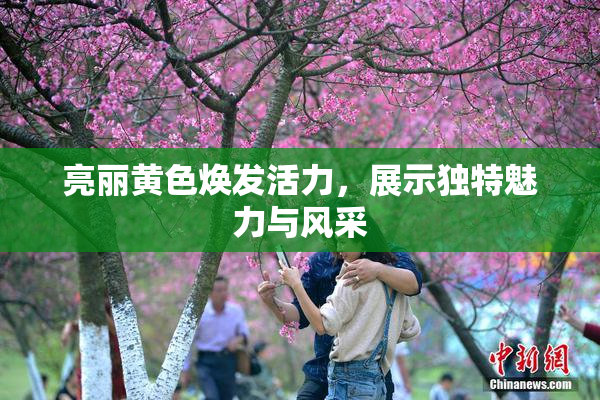 亮丽黄色焕发活力，展示独特魅力与风采