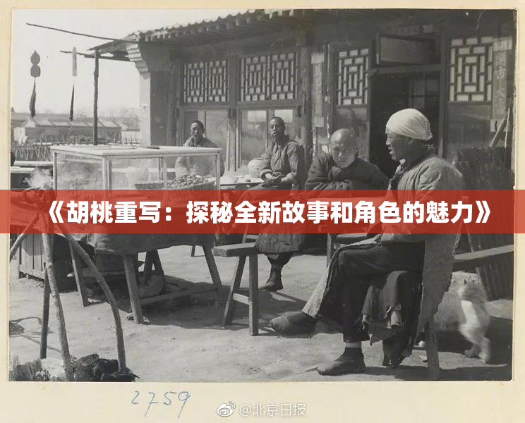 《胡桃重写：探秘全新故事和角色的魅力》