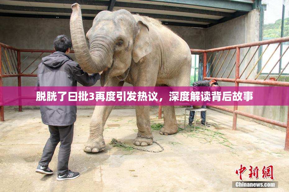 脱胱了曰批3再度引发热议，深度解读背后故事