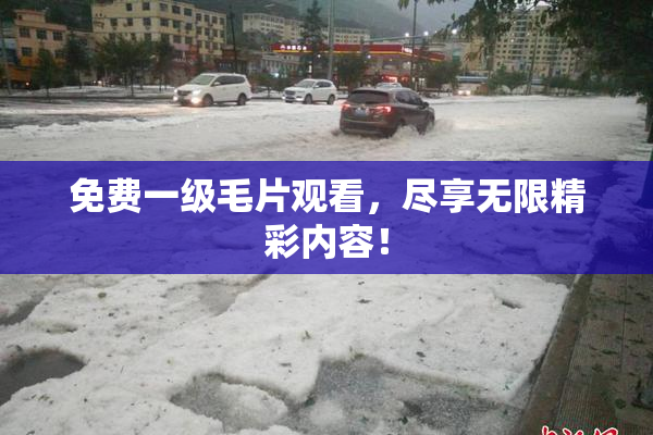 免费一级毛片观看，尽享无限精彩内容！