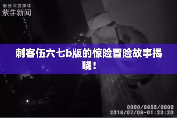 刺客伍六七b版的惊险冒险故事揭晓！