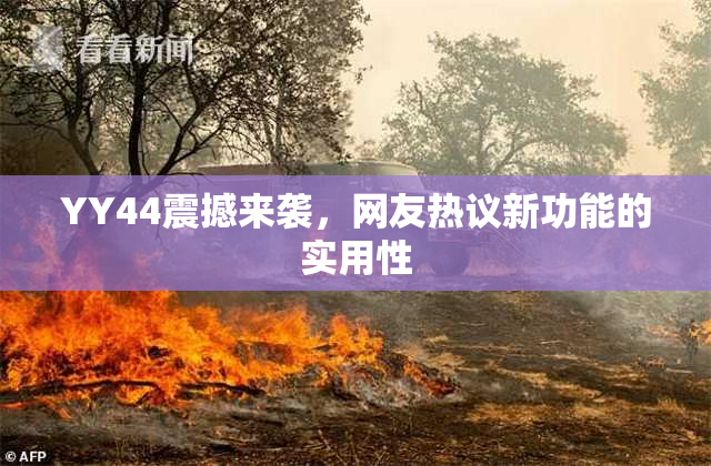YY44震撼来袭，网友热议新功能的实用性