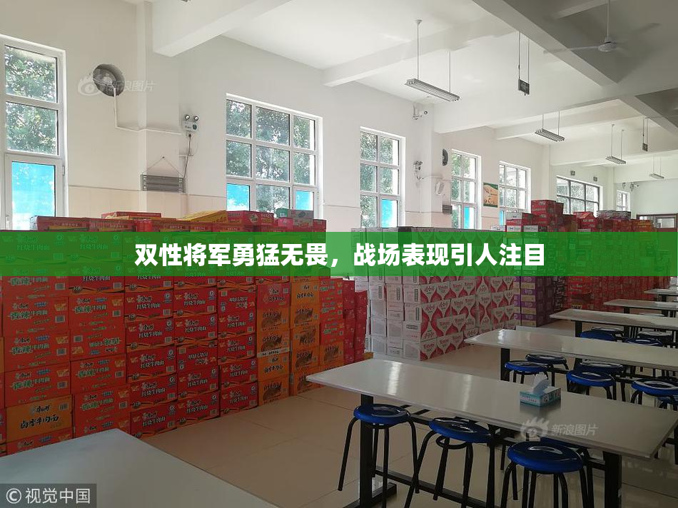 双性将军勇猛无畏，战场表现引人注目