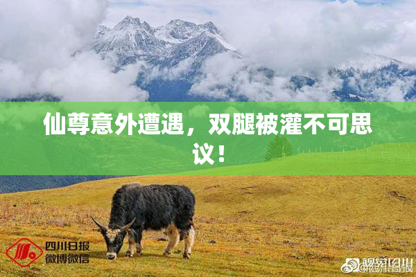 仙尊意外遭遇，双腿被灌不可思议！