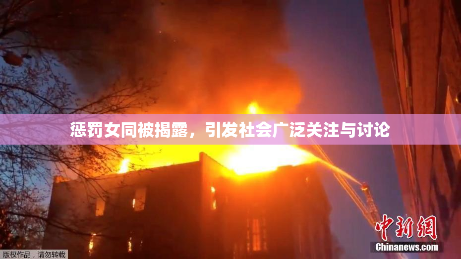 惩罚女同被揭露，引发社会广泛关注与讨论