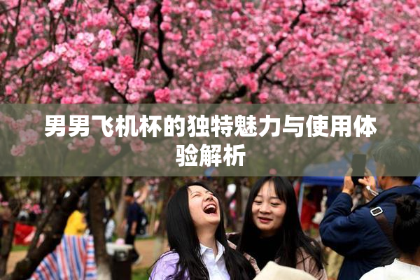 男男飞机杯的独特魅力与使用体验解析