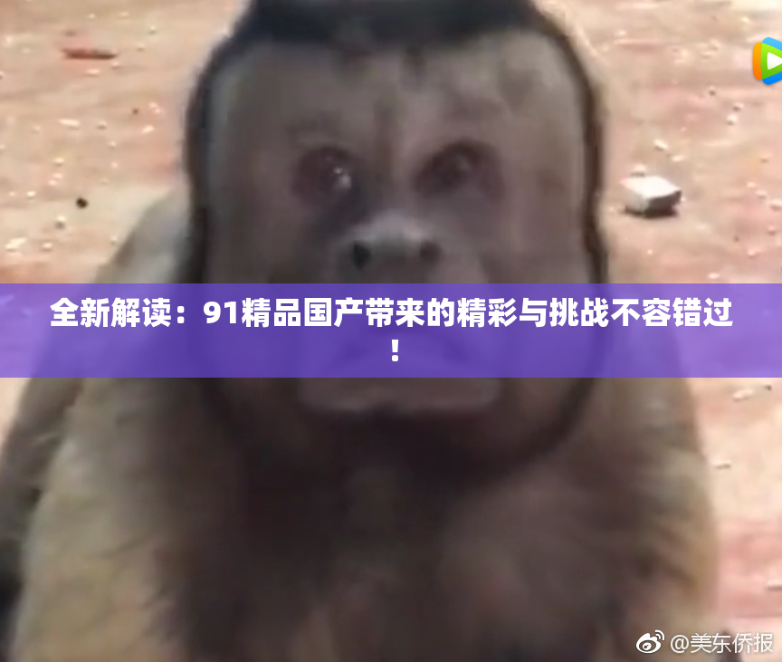 全新解读：91精品国产带来的精彩与挑战不容错过！