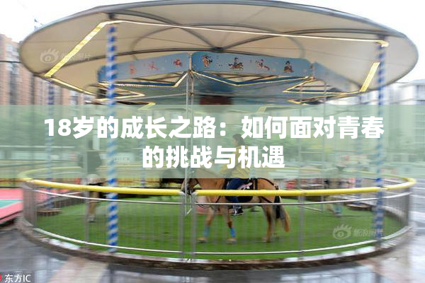 18岁的成长之路：如何面对青春的挑战与机遇