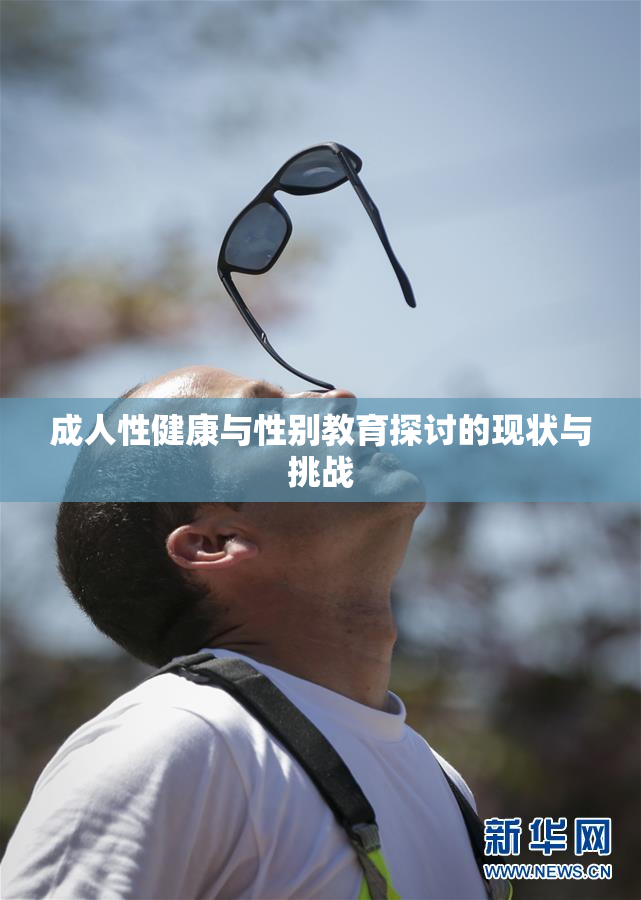 成人性健康与性别教育探讨的现状与挑战