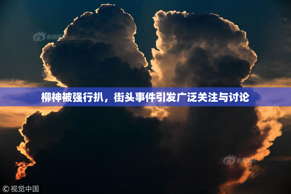 柳神被强行扒，街头事件引发广泛关注与讨论