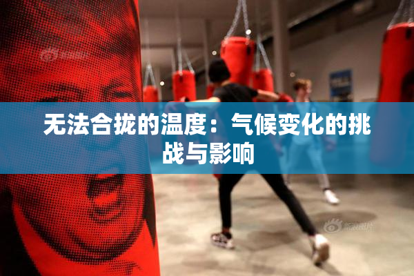 无法合拢的温度：气候变化的挑战与影响