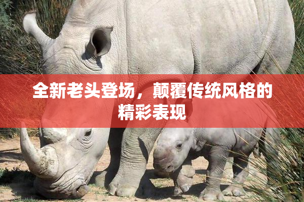 全新老头登场，颠覆传统风格的精彩表现