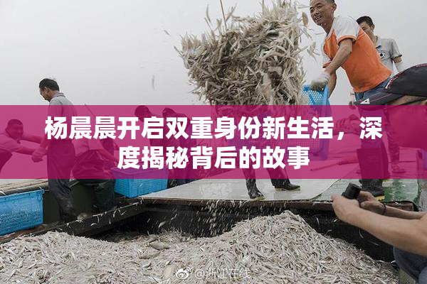 杨晨晨开启双重身份新生活，深度揭秘背后的故事