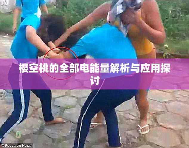 樱空桃的全部电能量解析与应用探讨