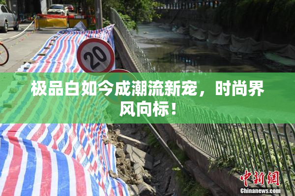 极品白如今成潮流新宠，时尚界风向标！