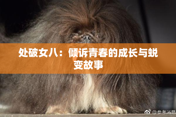 处破女八：倾诉青春的成长与蜕变故事