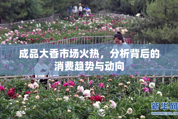 成品大香市场火热，分析背后的消费趋势与动向