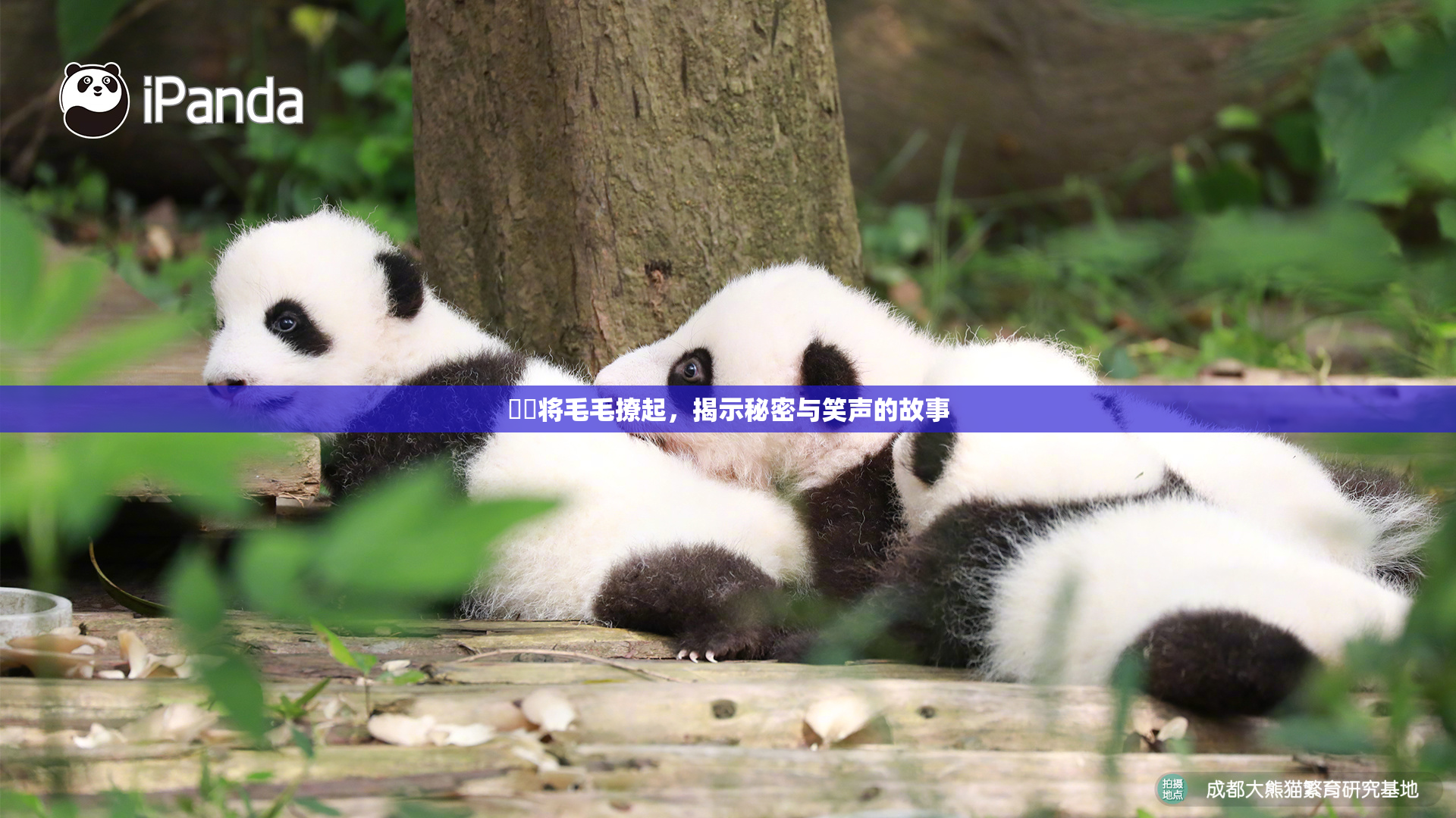 妺妺将毛毛撩起，揭示秘密与笑声的故事