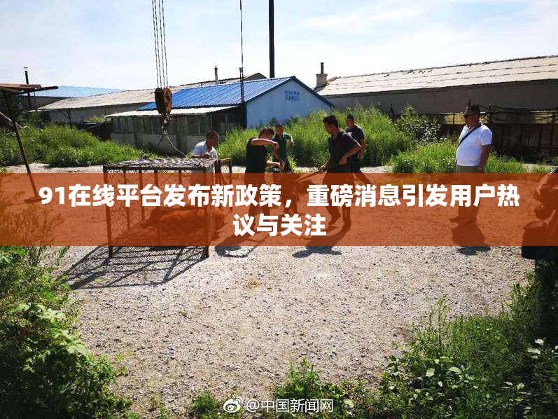 91在线平台发布新政策，重磅消息引发用户热议与关注