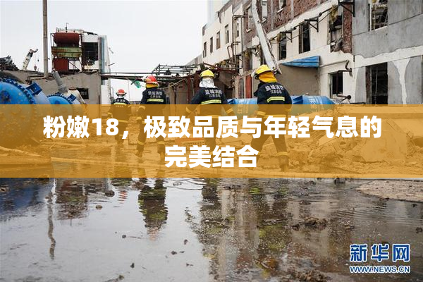 粉嫩18，极致品质与年轻气息的完美结合