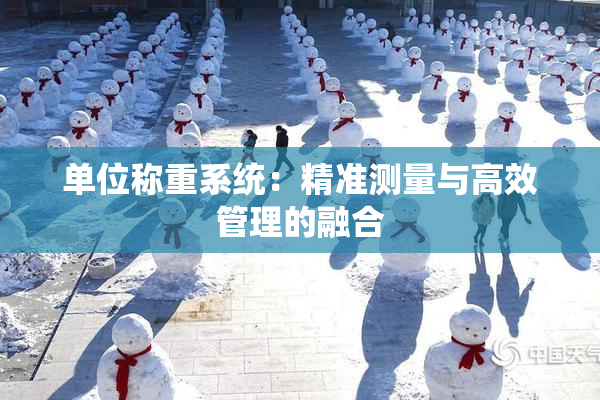 单位称重系统：精准测量与高效管理的融合