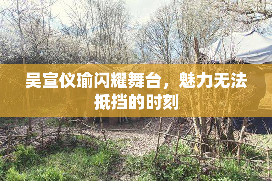 吴宣仪瑜闪耀舞台，魅力无法抵挡的时刻