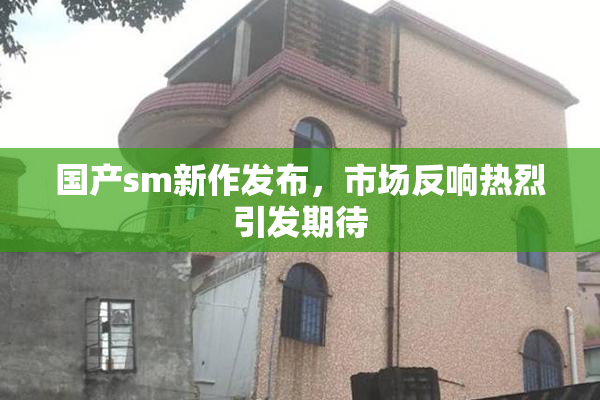 国产sm新作发布，市场反响热烈引发期待