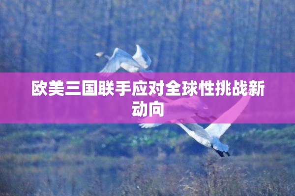 欧美三国联手应对全球性挑战新动向