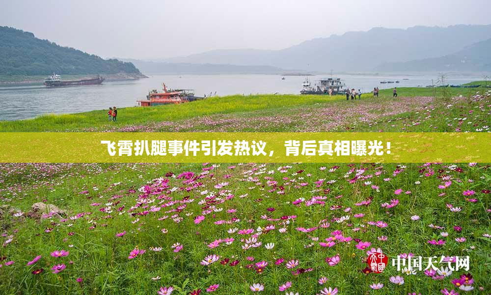 飞霄扒腿事件引发热议，背后真相曝光！