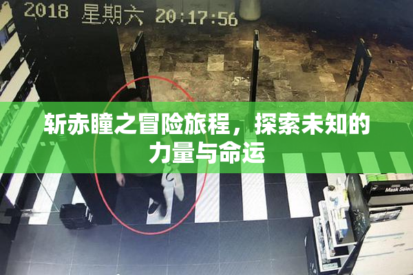 斩赤瞳之冒险旅程，探索未知的力量与命运