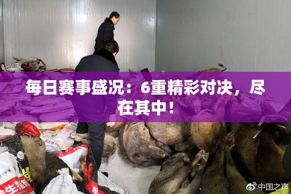 每日赛事盛况：6重精彩对决，尽在其中！