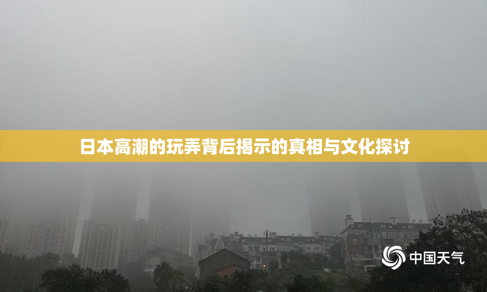 日本高潮的玩弄背后揭示的真相与文化探讨